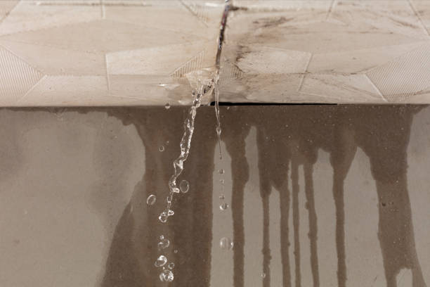 Professional Flood Damage Cleanup technician working in Grain Valley, MO